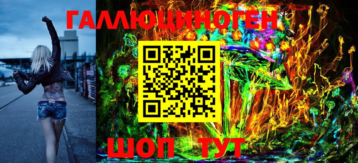 Галлюциногенные грибы Psilocybe Южноуральск