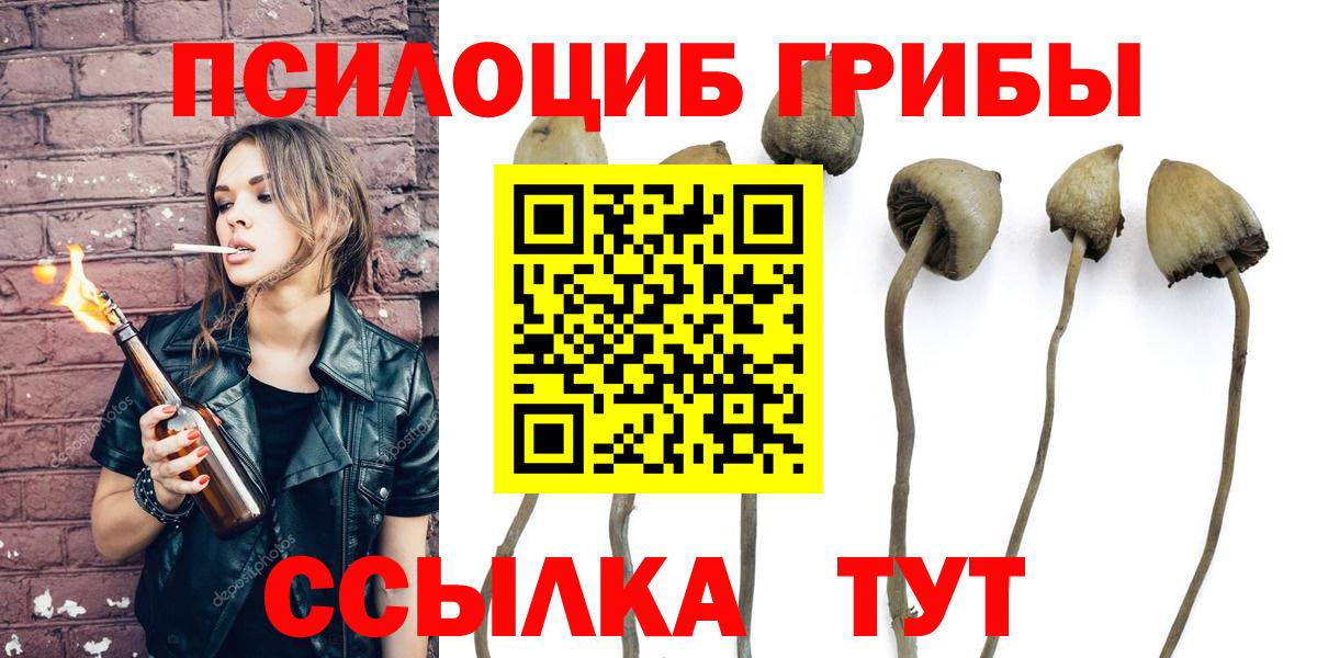 купить наркотик  Псилоцибиновые грибы MAGIC MUSHROOMS  Вход с VPN  Южноуральск  Псилоцибиновые грибы Cubensis 